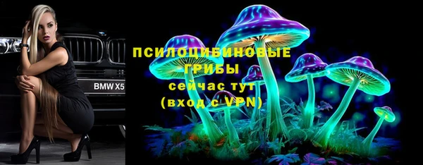 бошки Алексин