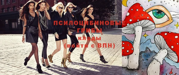 бошки Алексин