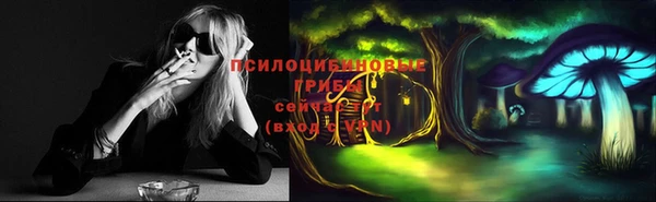 бошки Алексин