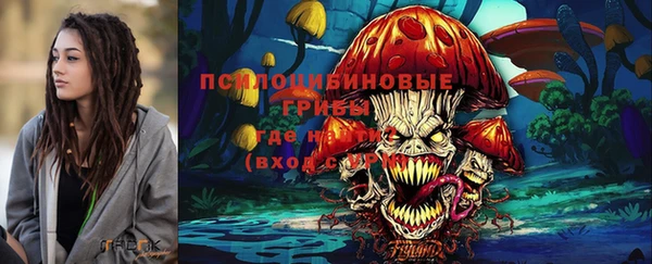 бошки Алексин
