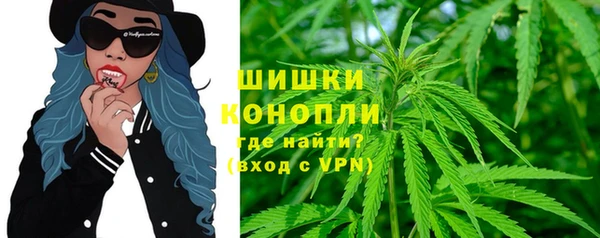 бошки Алексин