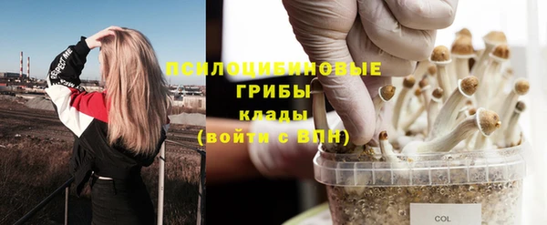 бошки Алексин